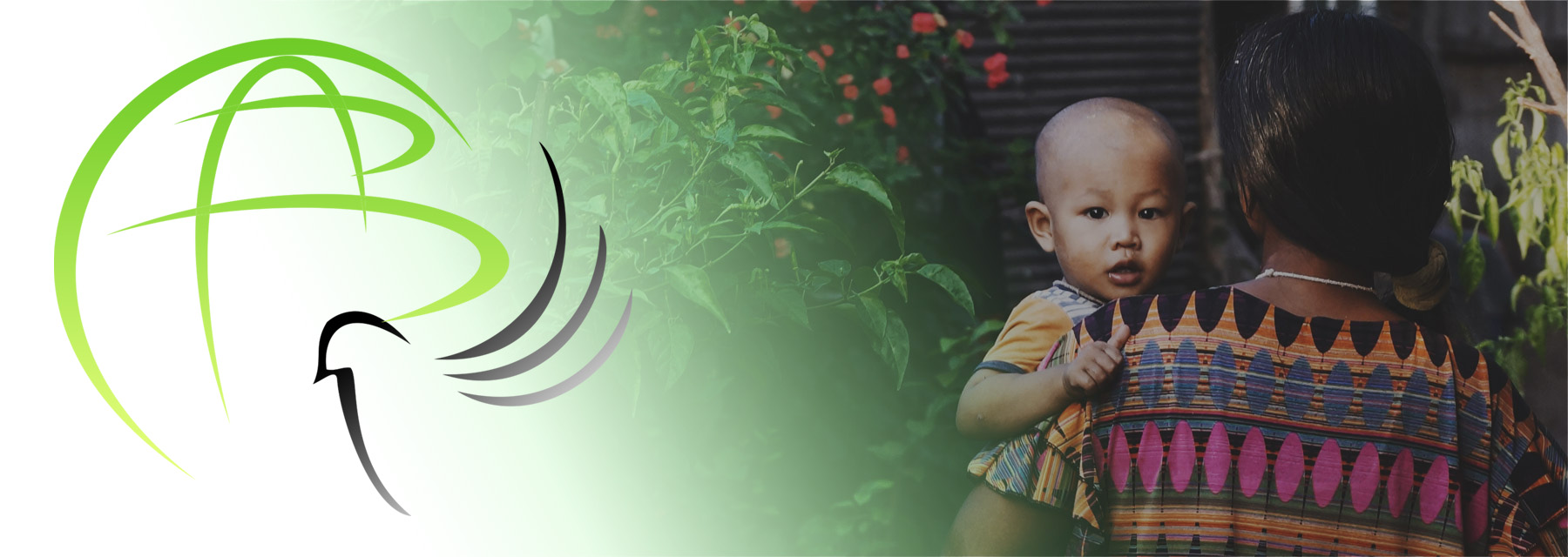 International Foundation Baraka